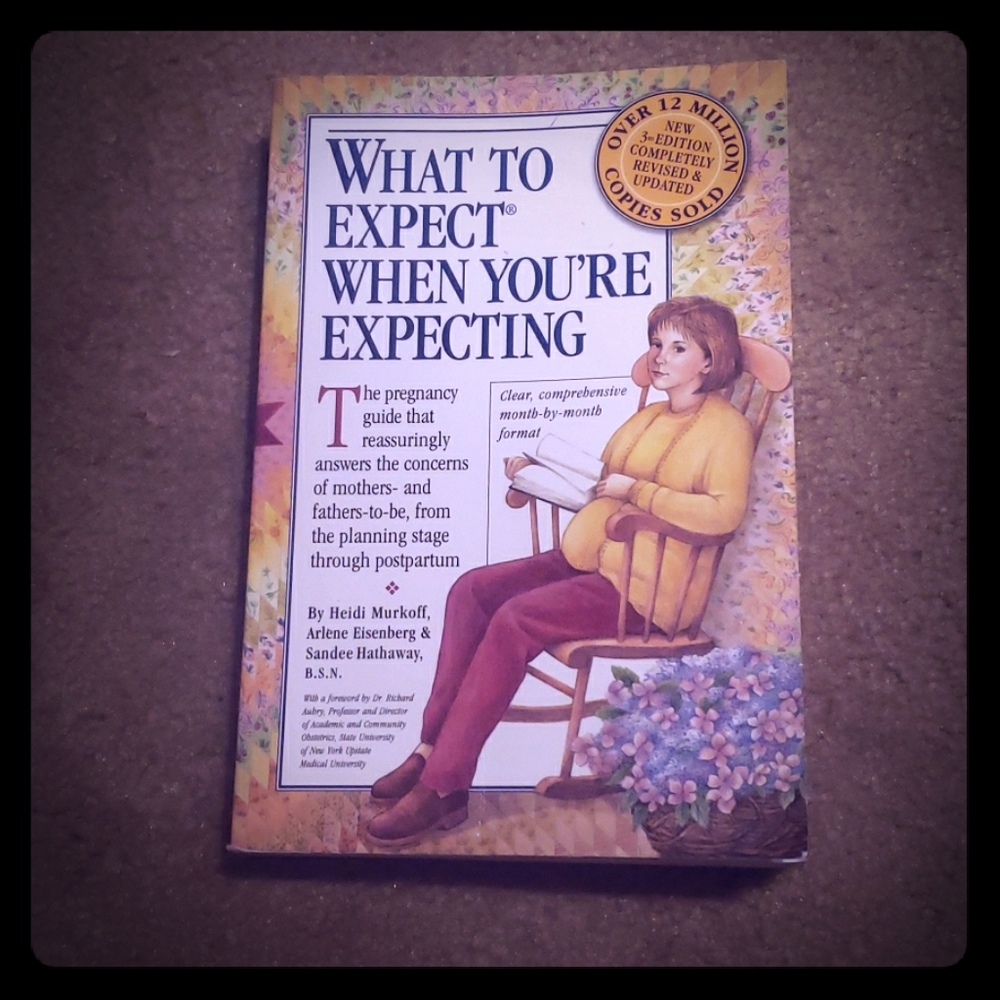 Pregnancy What To Expect When Youre Expecting Book